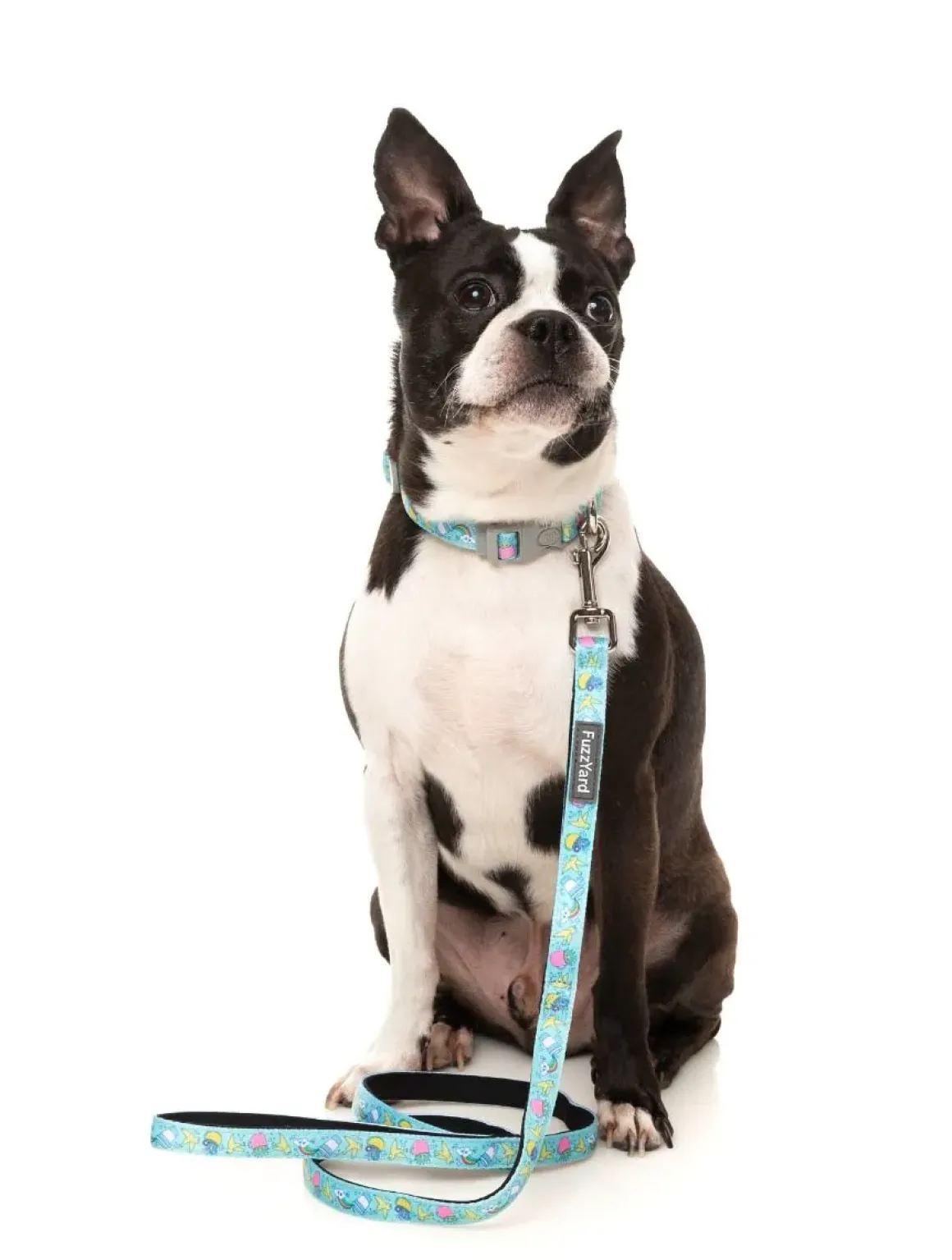 Wakey Wakey - Dog Collar