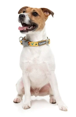 What The Duck - Dog Collar