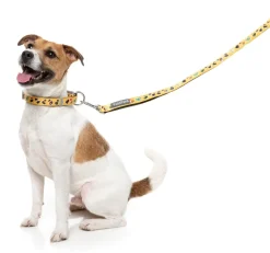 What The Duck - Dog Collar