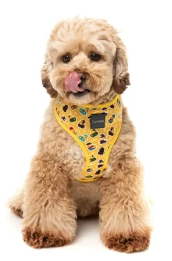 What The Duck - Dog Harness