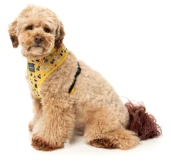 What The Duck - Dog Harness