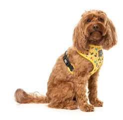 What The Duck - Dog Harness