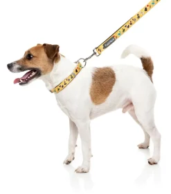 What The Duck - Dog Lead