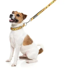 What The Duck - Dog Lead