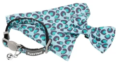 Wild One Aqua - Cat Fashion Pack