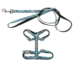 Wild One Aqua - Cat Walking Set