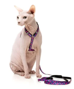 Wild One Bubblegum - Cat Walking Set