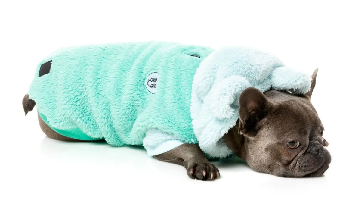 Winnie Hoodie - Teal