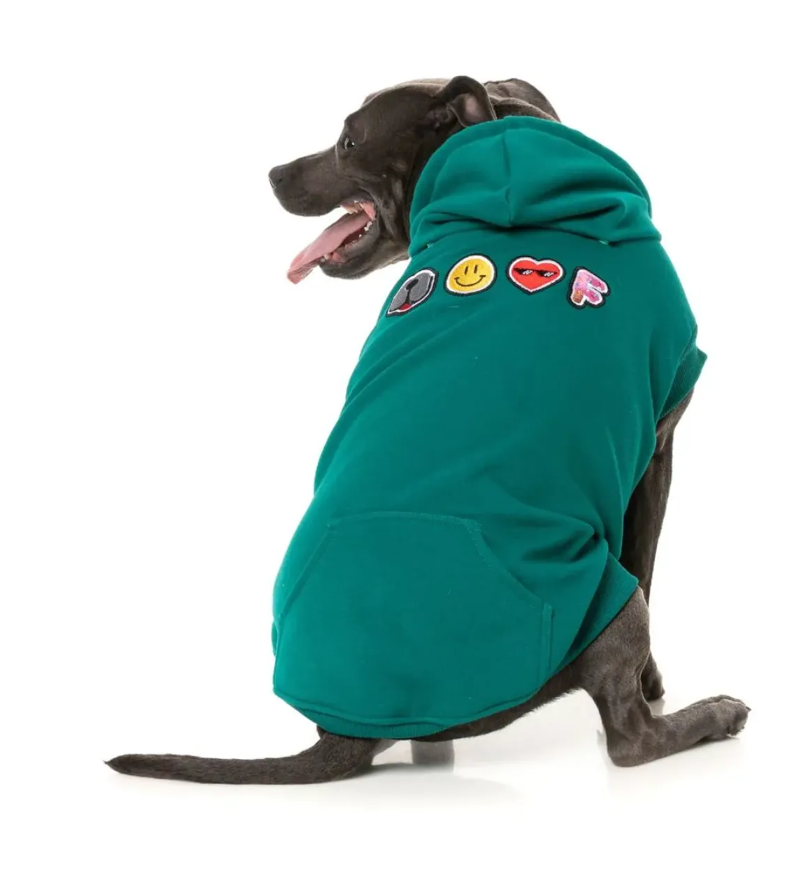 Wooftagram Hoodie - Green