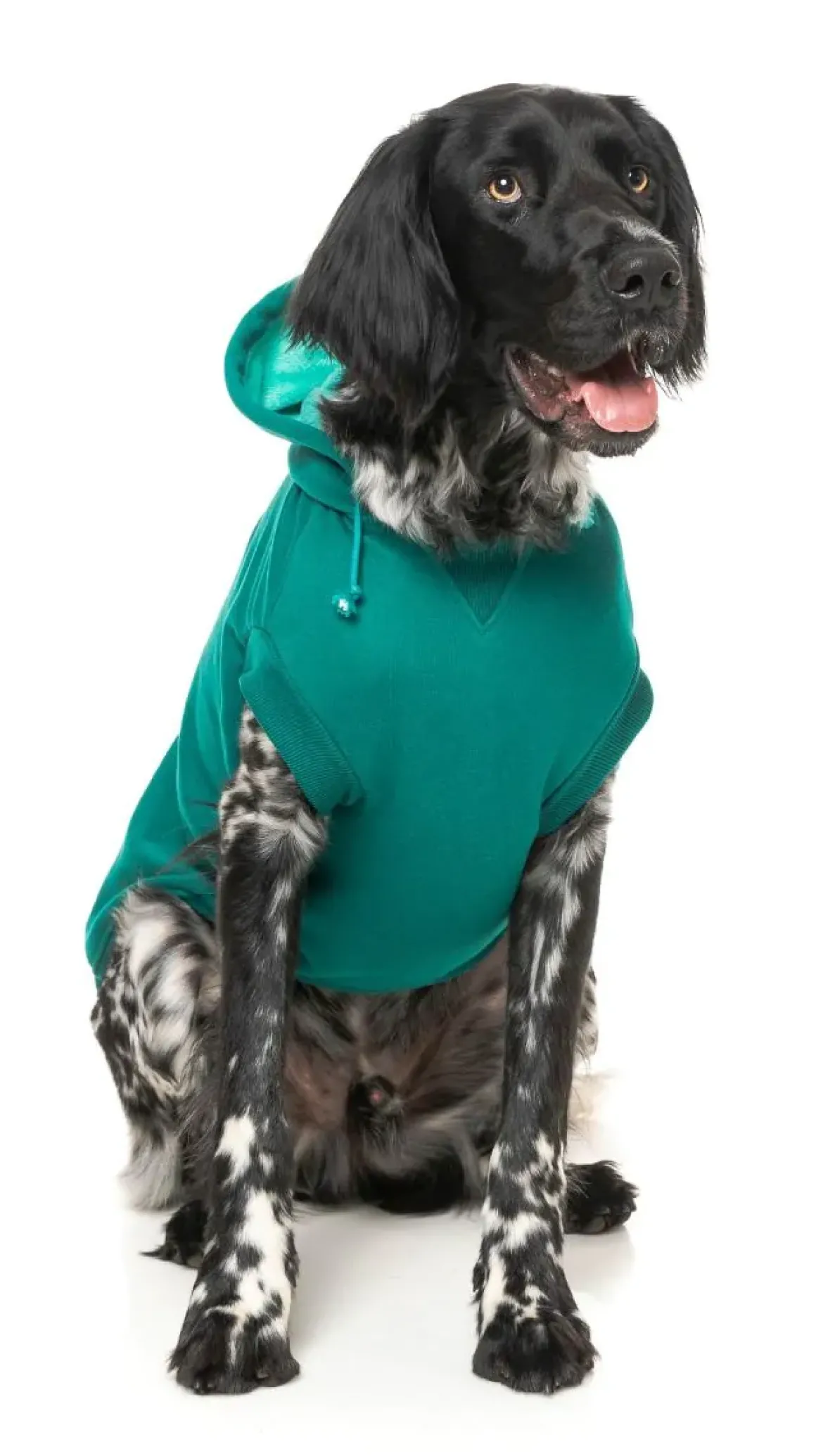 Wooftagram Hoodie - Green