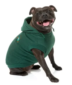 Yardsters Hoodie - Green