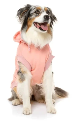 Yardsters Hoodie - Pink