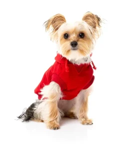 Yardsters Hoodie - Red