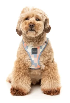 Yazd - Dog Step In Harness