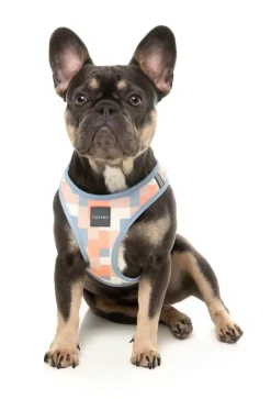 Yazd - Dog Step In Harness