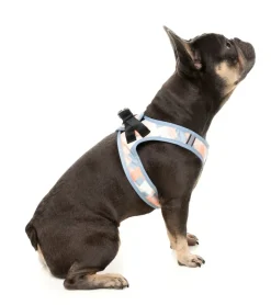 Yazd - Dog Step In Harness