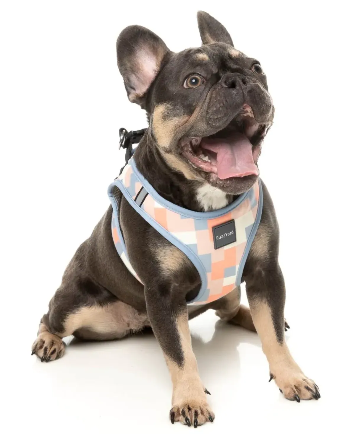 Yazd - Dog Step In Harness