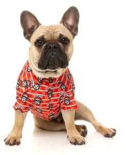 Yo! Santa Button Up Shirt