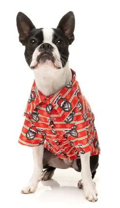 Yo! Santa Button Up Shirt