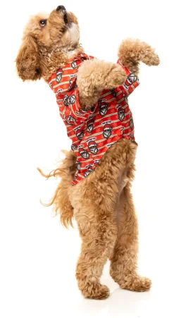 Yo! Santa Button Up Shirt