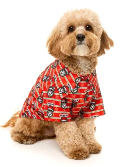 Yo! Santa Button Up Shirt