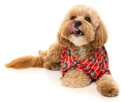 Yo! Santa Button Up Shirt