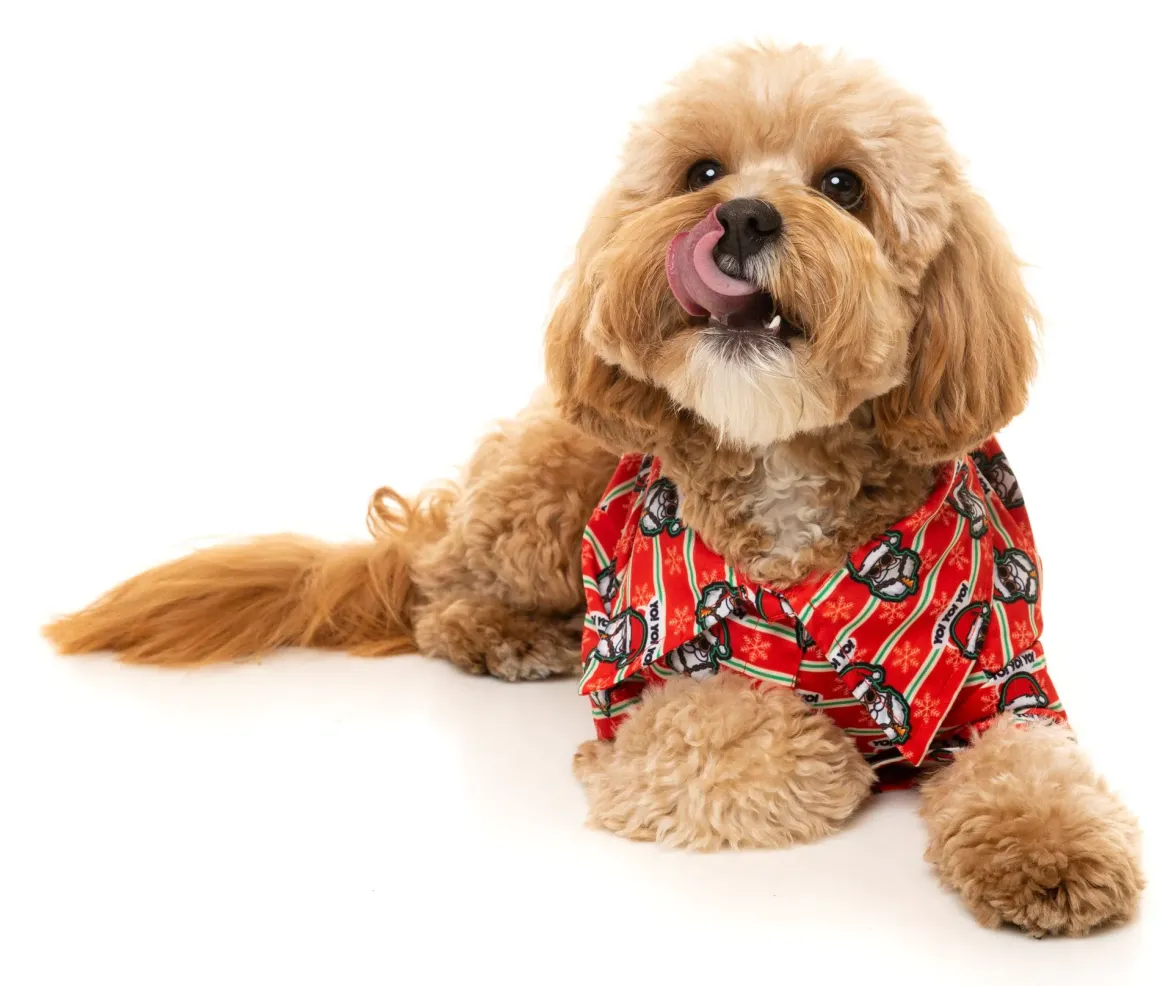 Yo! Santa Button Up Shirt