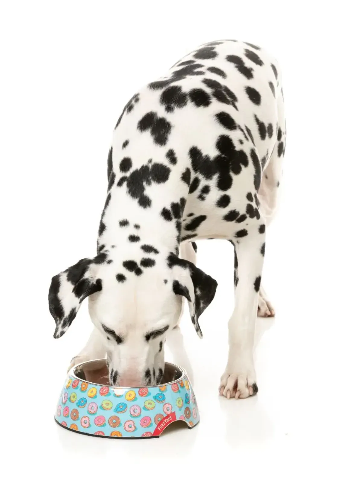 You Drive Me Glazy - Easy Feeder Bowl