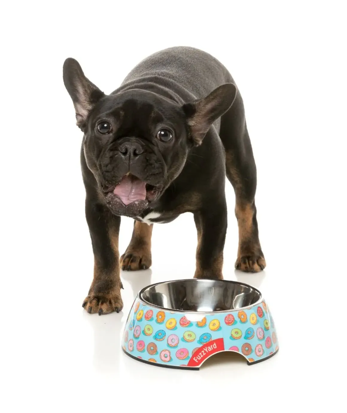 You Drive Me Glazy - Easy Feeder Bowl