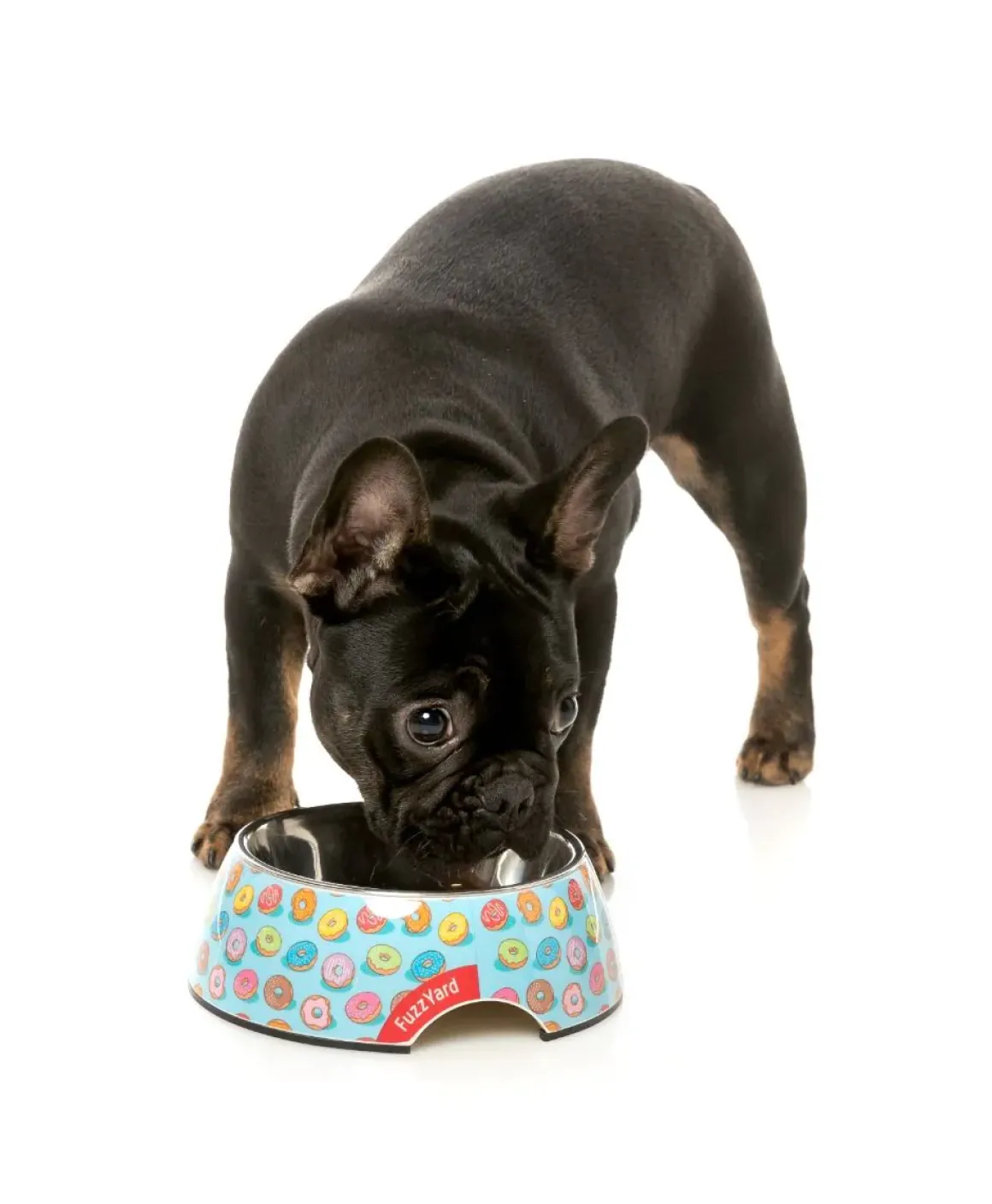 You Drive Me Glazy - Easy Feeder Bowl