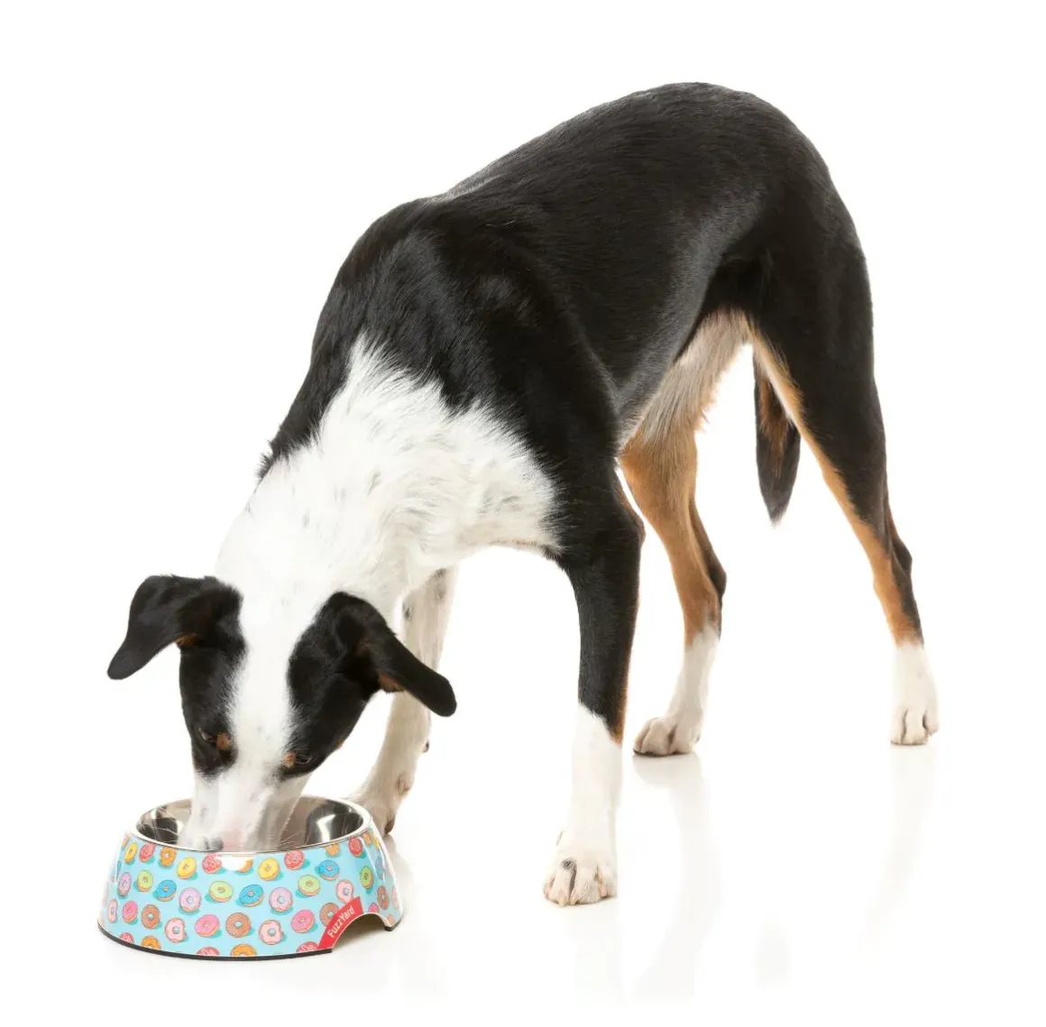 You Drive Me Glazy - Easy Feeder Bowl