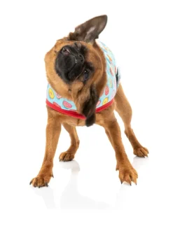 You Drive Me Glazy Wrap Vest