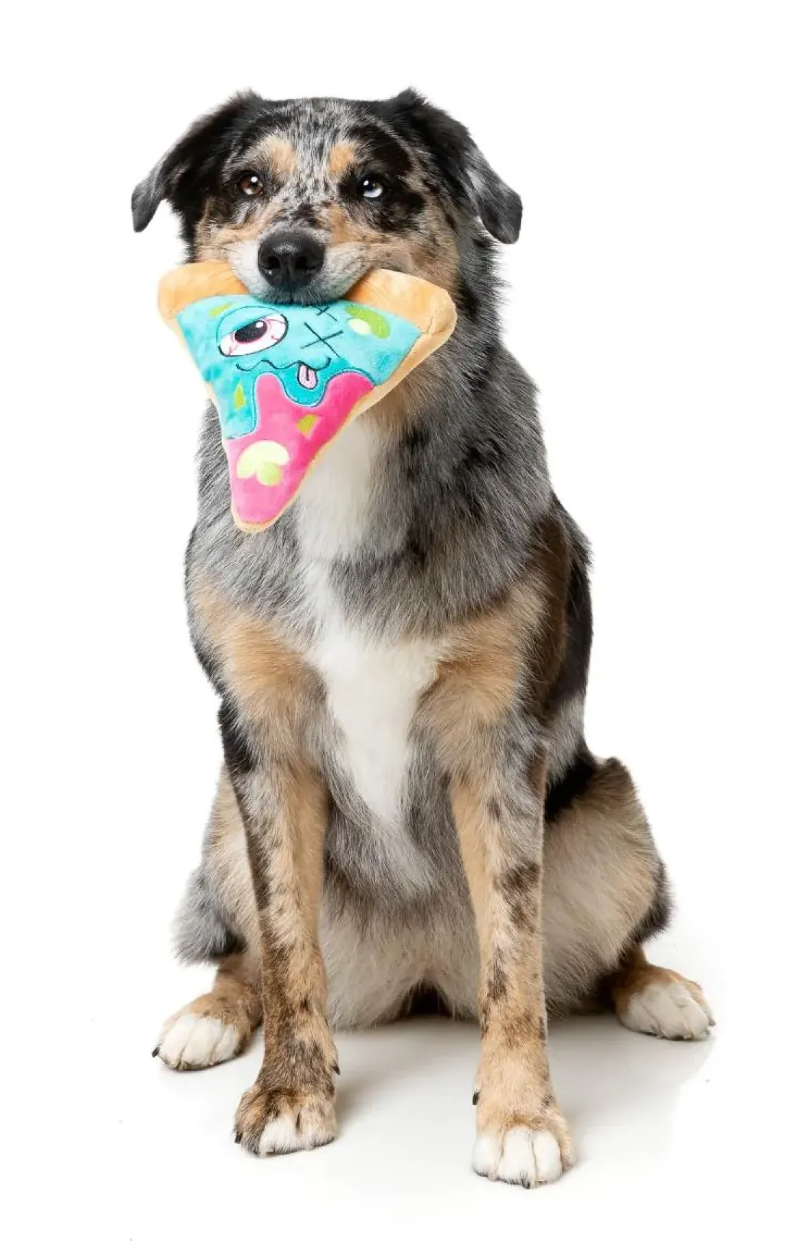 Zombizza - Marg-EAT-Her - Dog Toy