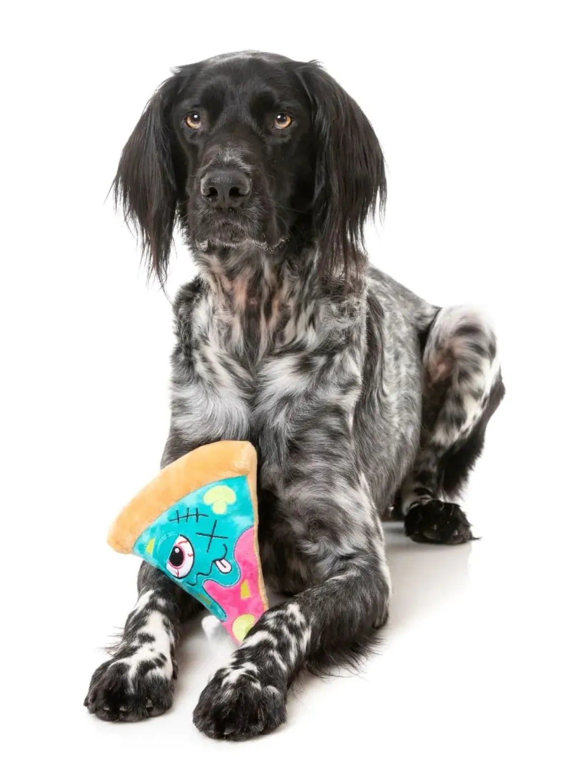 Zombizza - Marg-EAT-Her - Dog Toy