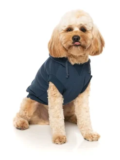 Zoomies Hoodie - Navy
