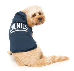 Zoomies Hoodie - Navy