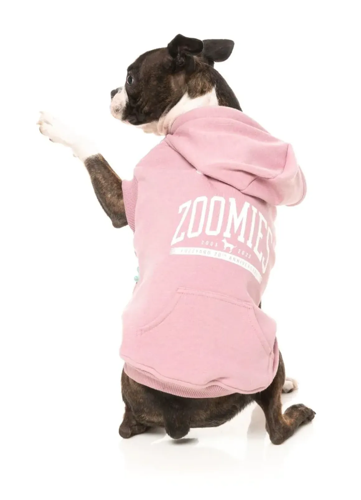 Zoomies Hoodie - Pink