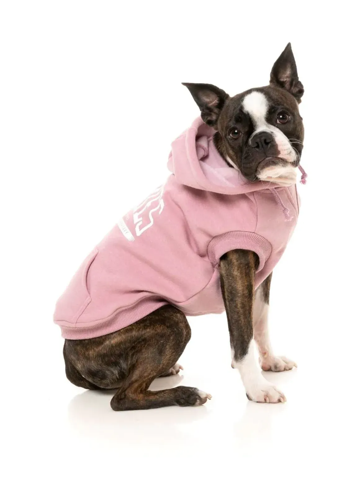 Zoomies Hoodie - Pink