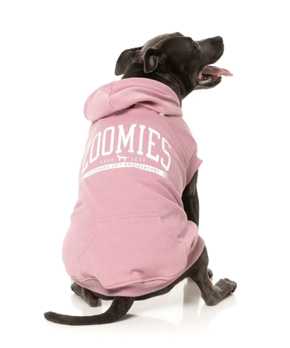 Zoomies Hoodie - Pink