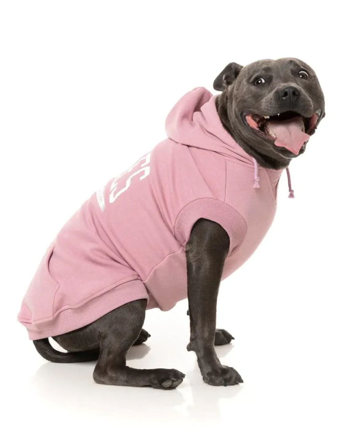 Zoomies Hoodie - Pink